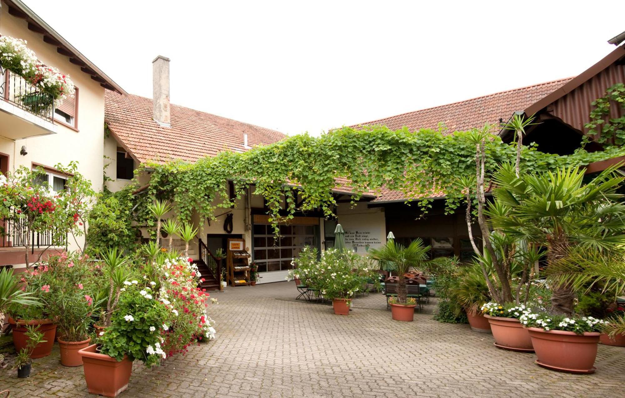 Weingut Und Gaestehaus Vongerichten Oberhausen  ภายนอก รูปภาพ